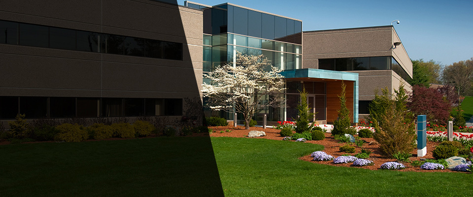 Lake Ariel Landscapers