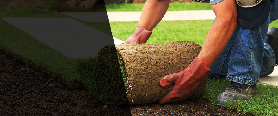 Lake Ariel Landscapers